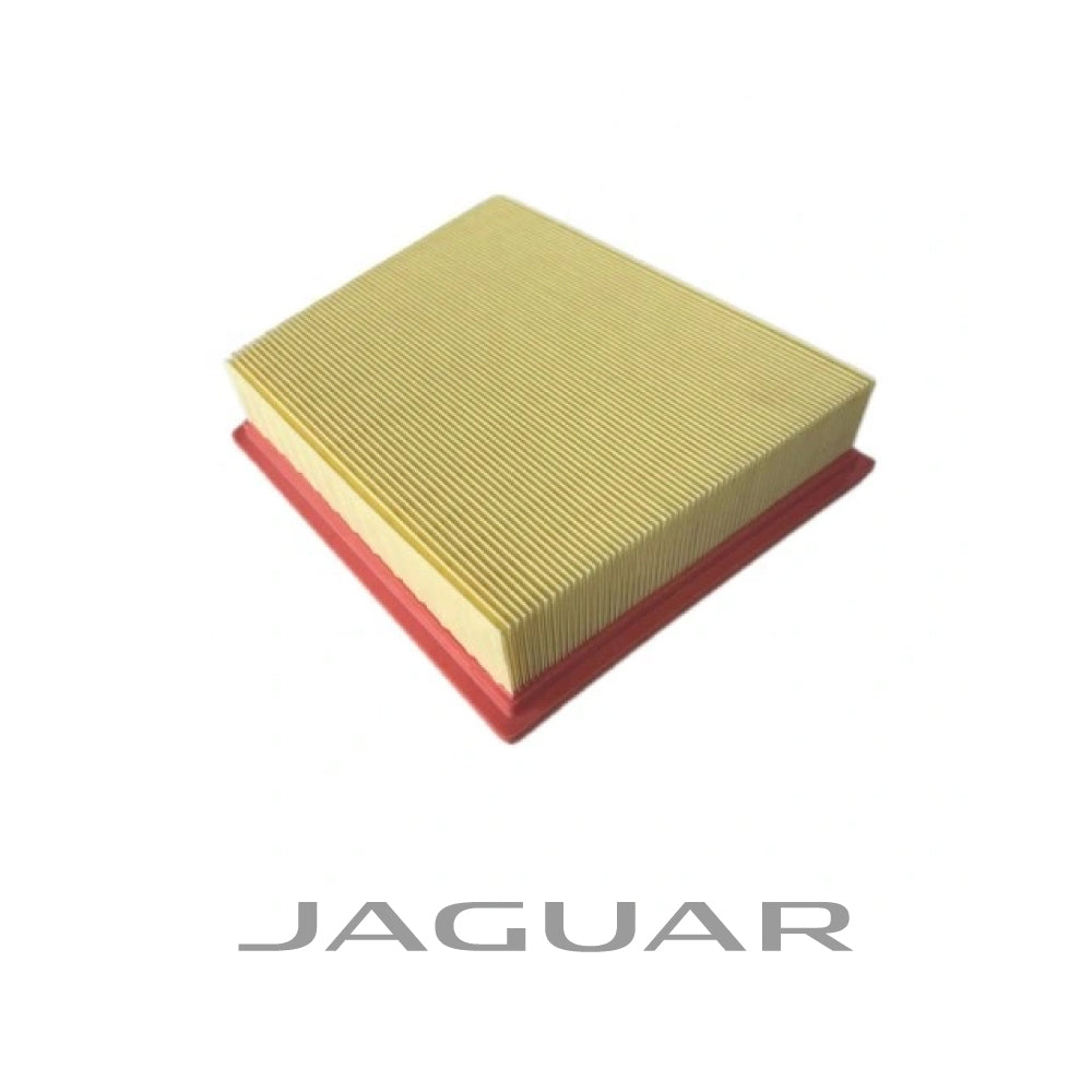 FILTRO DE AIRE LH - Jaguar